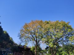 -无锡动物园·太湖欢乐园