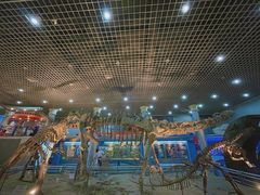 -国家自然博物馆