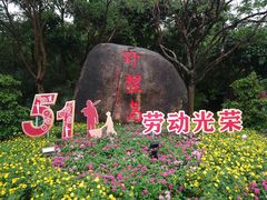 -野狸岛