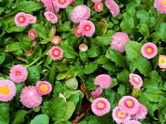 -重庆动物园·东二门售票处