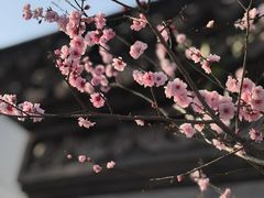 -三林塘老街