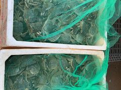 -盛华世家商业广场农贸水产综合批发市场