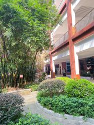 -广西壮族自治区妇幼保健院(厢竹院区)