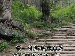 -剑门关风景区