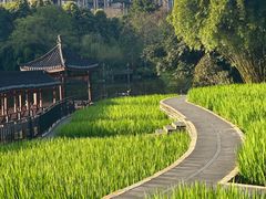 -龙头寺公园