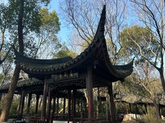 -上海佘山国家森林公园天马山园