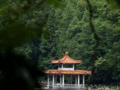 -深圳仙湖植物园