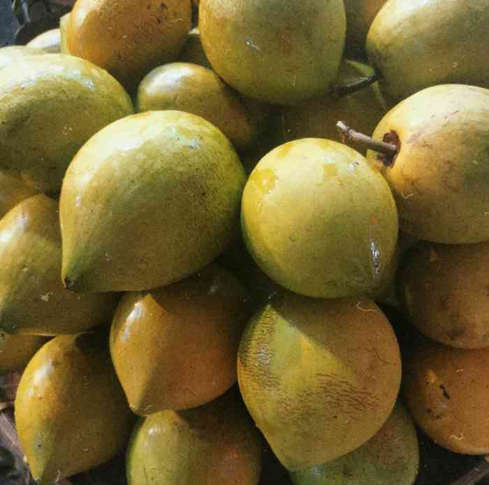 北海水果市场1号门-"周末来到北海,就去了水果市场,有很多热带.