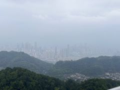 -大金鹰园