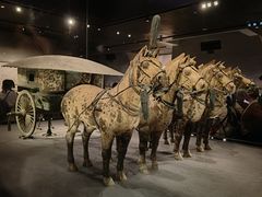 -秦始皇帝陵博物院-丽山园