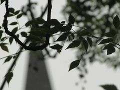 -维乐口腔医院(星海湾分院)