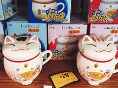 -猫咪博物馆(顶澳仔猫街店)