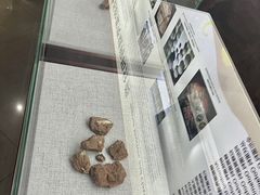 -中国西峡恐龙遗迹园