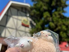 -神户市立六甲山牧场