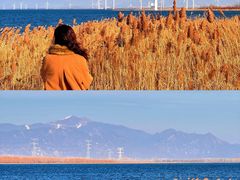 -观澜小洱海