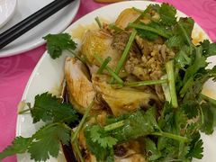 白切鸡（例牌）-电白鸭粥店(下沙二坊88号店)