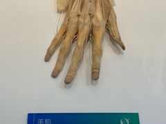 -生命奥秘博物馆