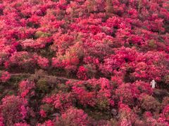 -木兰云雾山
