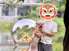 -王借岗森林公园