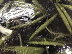 三丝莼菜羹-协和菜馆(凤凰街店)