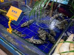 水产区-79号渔船海鲜饭店(华强北店)