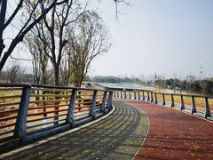 -府河摄影公园
