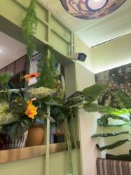 -深圳柏颜医疗美容诊所