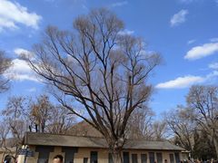 -延安杨家岭革命旧址