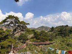 -五当召景区