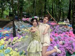 -洛阳白云山景区