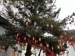 -东山雕花楼