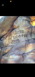 点击看大图 -翱翔飞越地平线