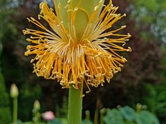 -南戴河国际娱乐中心