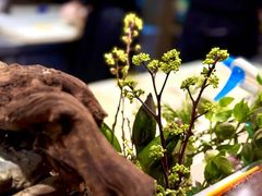 -牛道·和牛九食(市府恒隆广场店)