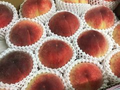-油麻地果栏