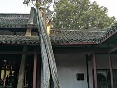 -太平天国侍王府