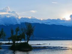 -洱海月湿地公园