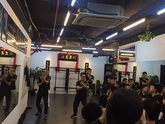 -温鉴良实用咏春拳