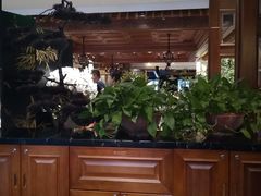 -八府香鸭·啫啫煲(华山路店)