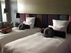 -南京禄口机场雅高铂尔曼大酒店