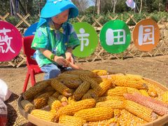 -武汉紫薇都市田园