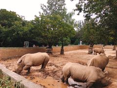-西安秦岭野生动物园