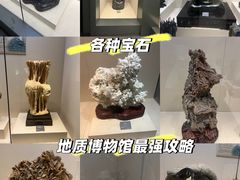 -安徽省地质博物馆