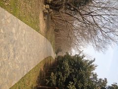 -蜀冈西峰生态公园