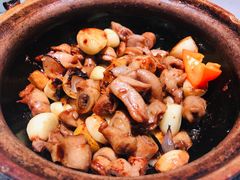 -大榕树下顺德菜(融创茂店)