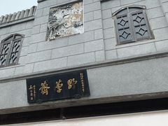 -野荸荠
