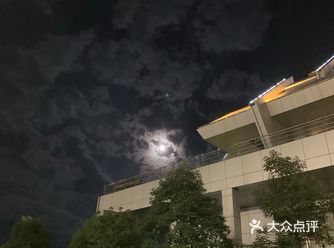 中秋之夜来到仙女山镇，趁着天朗气清在银杏大道上晃荡