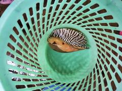 -海上驿站渔家菜馆