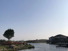 -上海鲜花港