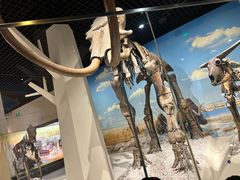 -国家自然博物馆